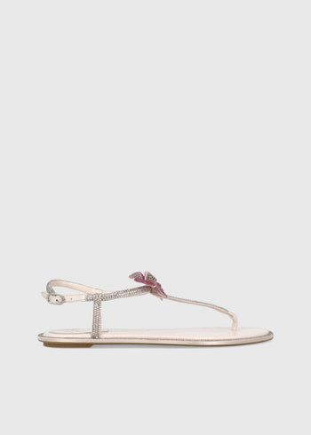 René Caovilla Sandalia FAIRY PINK RNC-12495